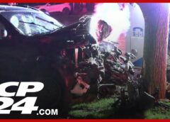 Two people injured after car crashes into tree in Etobicoke