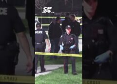 Young child dead after falling from apartment bedroom window in North York