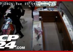Eight suspects in custody after ‘smash-and-grab’ robberies captured on video, Halton police say