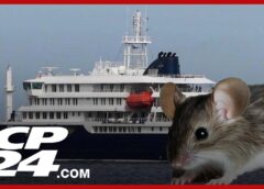 Two Canadians monitored after exposure to hantavirus, Toronto health officer says risk remains low